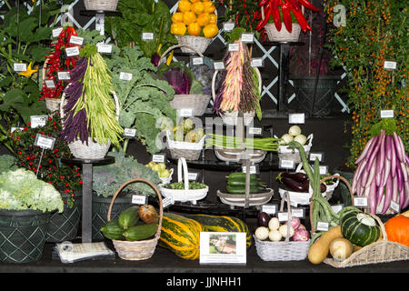 Tomaten und Zwiebel Sorten an Tatton Park Flower Show angezeigt Stockfoto