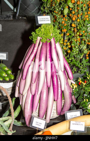 Tomaten und Zwiebel Sorten an Tatton Park Flower Show angezeigt Stockfoto