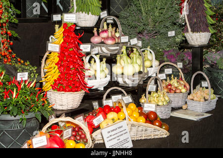 Tomaten und Zwiebel Sorten an Tatton Park Flower Show angezeigt Stockfoto