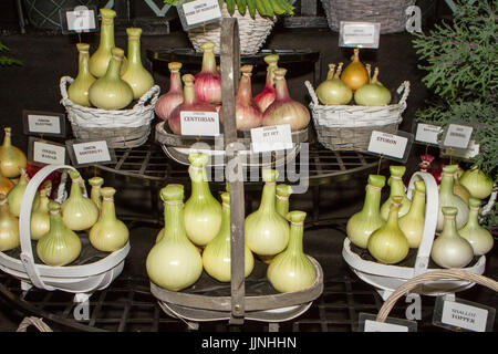 Tomaten und Zwiebel Sorten an Tatton Park Flower Show angezeigt Stockfoto