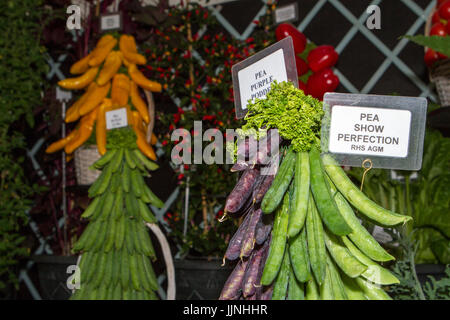 Tomaten und Zwiebel Sorten an Tatton Park Flower Show angezeigt Stockfoto