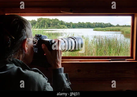 Frankreich, Indre (36), Parc Naturel Régional De La Brenne, Saint-Michel-de-Brenne, Réserve Naturelle de Chérine, Observatoire de l'Étang De La Sous, Phot Stockfoto