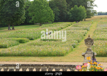 Frankreich, Indre (36), Valençay, le Château, Carrés de Prairie Fleurie / / Frankreich, Indre, Valençay, Burg, Blumenwiese Stockfoto