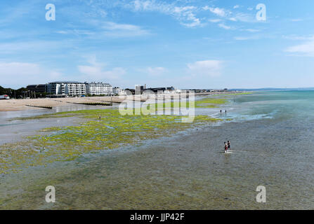 Worthing West Sussex UK - Ebbe am Strand Stockfoto