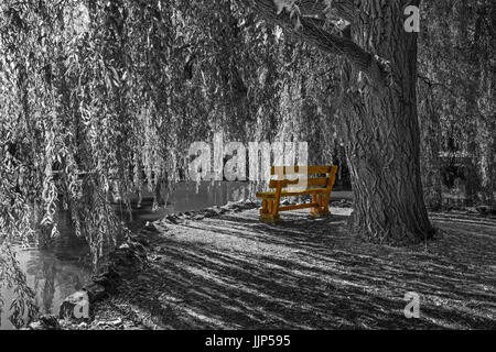 Topolcianky - die romantische Ecke mit Weide und Bank im Park des Palastes in Topolcianky. Stockfoto