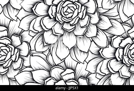 Saftige Musterdesign Kaktus Echeveria Printdesign schöne Blume Blatt, schwarze lineare Zeichnung trendige Fliese Vektor ornamentalen Abbildung isolat Stock Vektor