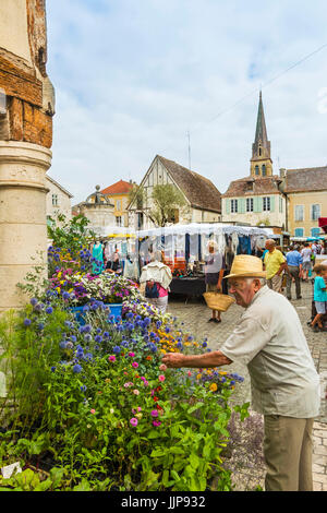 Blume stall in Place Gambetta auf beliebten Markt Tag dieses South West historische Bastide. Eymet; Bergerac, Dordogne, Frankreich Stockfoto