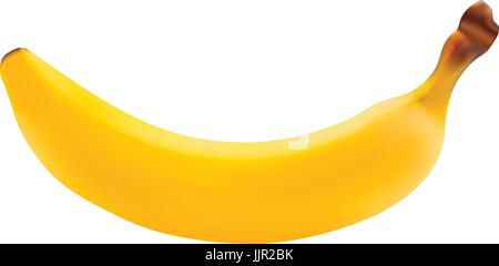 Einzige frische Banane Frucht isoliert auf einem weißen Hintergrund. Stock Vektor