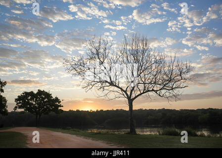 Am frühen Morgen bei Saddle Creek Park, Lakeland, Florida. Stockfoto