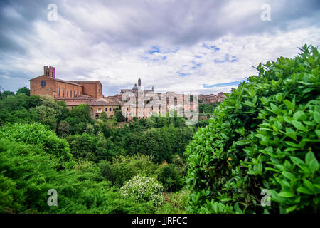 Panoramablick auf die alte Hill Top Stadt Siena, Toskana, Italien Stockfoto