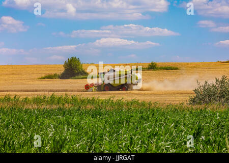 Mähdrescher in Aktion am Weizenfeld. Palouse Erntezeit. Stockfoto