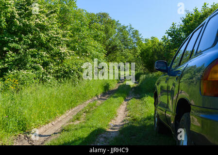 Das blaue Auto parkt auf einem Waldweg Stockfoto