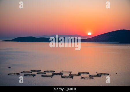 Sonnenaufgang über dem Meer Fischfarm in Griechenland Stockfoto