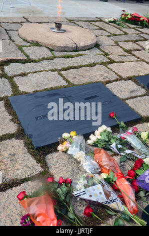 Grab von Kennedy auf dem Nationalfriedhof Arlington, zum 50. Jahrestag der Ermordung Präsident Kennedys, 22. November 2013. Ewigen flam Stockfoto