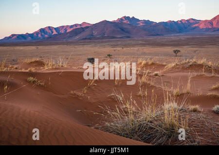 Roten Sanddünen des NamibRand Nature Reserve in Namibia, Afrika Stockfoto