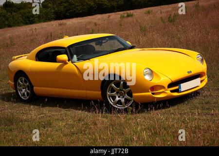 TVR Cerbera in einem Feld Stockfoto