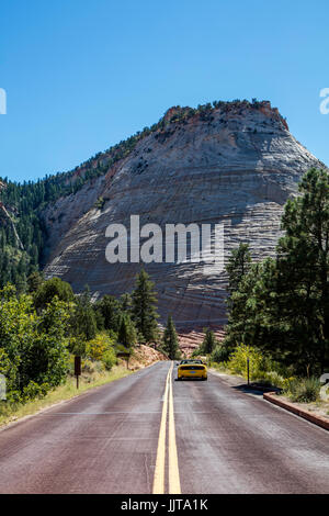 Schachbrettmesa. Zion National Park. Utah. USA Stockfoto