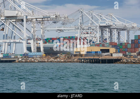 Riesige Containerschiff, COSCO America, Laden auf dem Liegeplatz 247 Am Langen Strand Container Terminal, Kalifornien, USA. Stockfoto