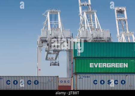 Gestapelte Container- und Brückenkrane Am Langen Strand Container Terminal, Kalifornien, USA. Stockfoto