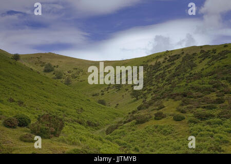 Kardieren, Mill Valley und Bodbury Hill, Long Mynd, Shropshire, England: Bestandteil des National Trust Shropshire Hügel Area of Outstanding Natural Beauty Stockfoto