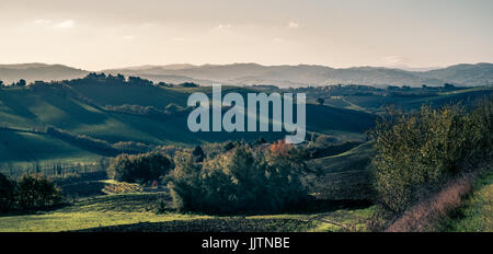 Schatten auf den sanften Hügeln zwischen Emilia-Romagna e Marche, Italien. Stockfoto