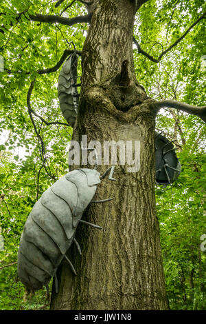 Asseln oder Assel Skulptur Baum zu Fuß unterwegs in Butterdean Wood, Woodland Trust, East Lothian, Schottland, Großbritannien Stockfoto