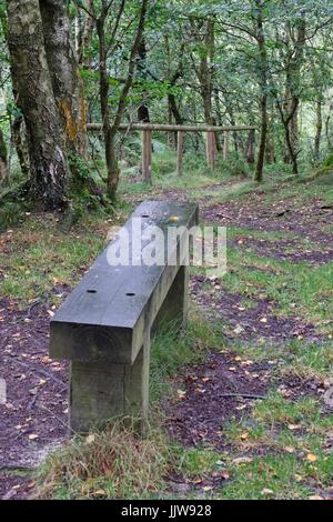 Holzbank Stockfoto