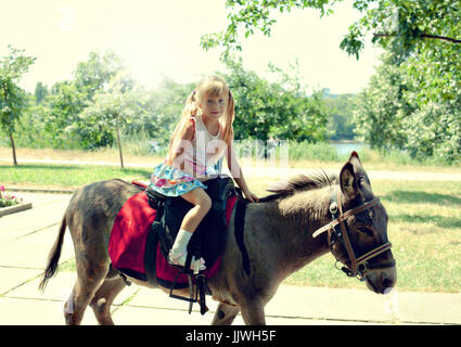 Kleines Mädchen reitet auf einem Esel im Park Stockfoto