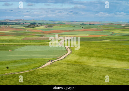 Blick auf die Landschaft 'meseta', eine lange Ausdehnung der Hochebene. Camino de Santiago. Spanien, Europa. Stockfoto