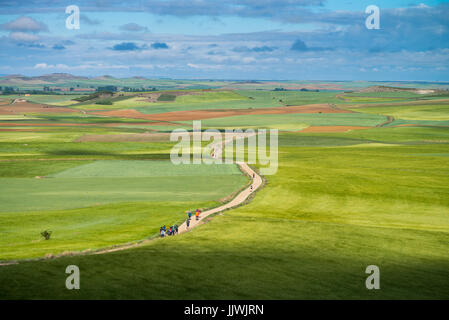 Blick auf die Landschaft 'meseta', eine lange Ausdehnung der Hochebene. Camino de Santiago. Spanien, Europa. Stockfoto