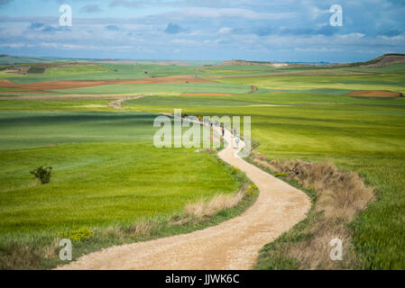 Blick auf die Landschaft 'meseta', eine lange Ausdehnung der Hochebene. Camino de Santiago. Spanien, Europa. Stockfoto