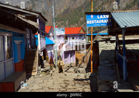 Thanchowk Dorf, Annapurna region, Nepal. Stockfoto