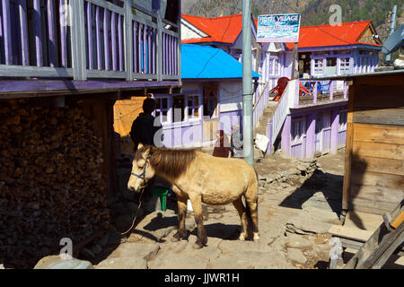 Dorf Thanchowk, Annapurna Regon, Nepal. Stockfoto