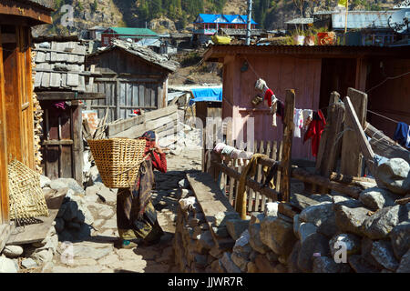 Lokale Frau, die Mischung in einen Weidenkorb in der Ortschaft thanchok auf der Annapurna Umrundung, Nepal. Stockfoto