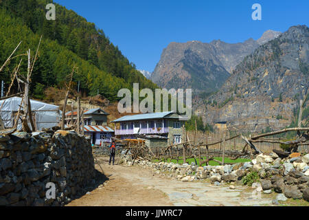 Weg der die Annapurna Runde gehen durch das Dorf Thanchok, Nepal. Stockfoto