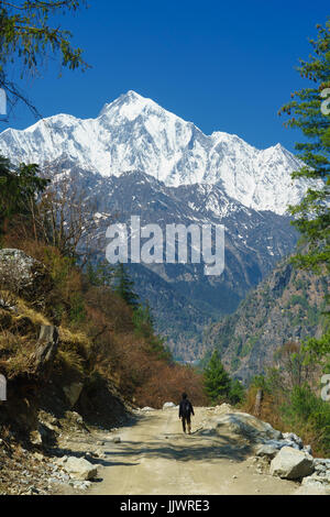 Lokale Mann zu Fuß auf dem Weg zwischen Thanchok und Chhtipu, auf der Annapurna Circuit, Nepal. Stockfoto