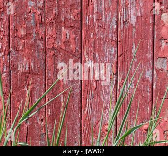 Wiese mit Stall Holz Stockfoto