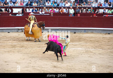 Picador En Una Corrida de la Plaza de Toros de Las Ventas. Madrid. España Stockfoto