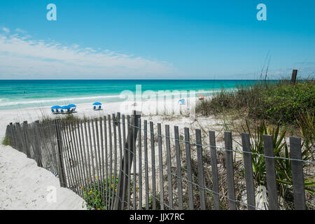 Weißer Sand und Dünen, die durch Sea Oats geschützt Grüße Familien in einem beliebten Destin Strand, Meer, an der Golfküste von Florida, USA. Stockfoto