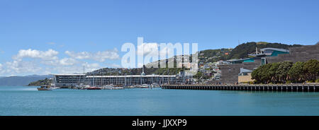 Wellington, New Zealand - 18. November 2016: Panoramablick auf Wellington Harbour, Oriental Bay, Clyde Quay Wharf und Mount Wellington. In der foregro Stockfoto