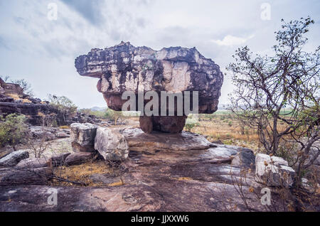 Eine alte Jabiru Träumen Abri in Northern Territory, Australien Stockfoto