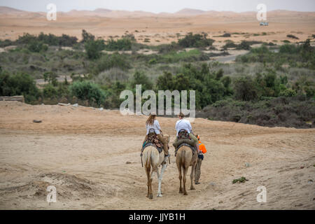 Touristen, Kamelreiten in der Namib-Wüste, Namibia, Afrika. Stockfoto