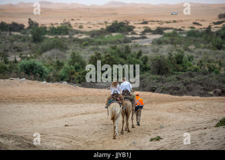 Touristen, Kamelreiten in der Namib-Wüste, Namibia, Afrika. Stockfoto