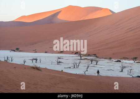 Toten Akazien säumen die Basis einer alten Düne in der Deadvlei-Ton-Pfanne im Namib-Naukluft-Nationalpark befindet sich in Namibia, Africa.Etosha, Namibi Stockfoto