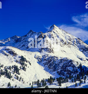 schneebedeckten hohen reichen Kopf (3010m) mit spärlichen Arvenbestand in der Lawine. hoher Reich Kopf (3010m) und dünn Pinus Cembra Bäume am Fuß Stockfoto