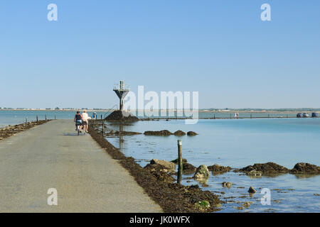 Frankreich, Vendée (85), Île de Noirmoutier, Entre Barbâtre et Beauvoir-Sur-Mer, le passage du Gois / / Frankreich, Vendee, Insel Noirmoutier, zwischen Bar Stockfoto