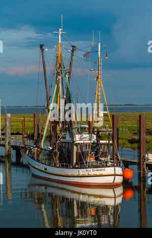 weiße Krabben Kutter in der Anleger von der VARELER AUßENHAFEN. weiße Krabben am Kutter, Weisser Krabbenkutter Kapitalanlagestrategie des VARELER AUSSENHAFENS. WHI Stockfoto