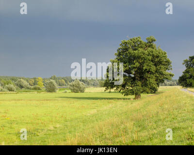 Landschaft mit der Weinberge, Wiese Elbtal, Wendland, Landschaft Bei Hitzacker Vom Weinberg, Elbtalaue Hitzacker Stockfoto