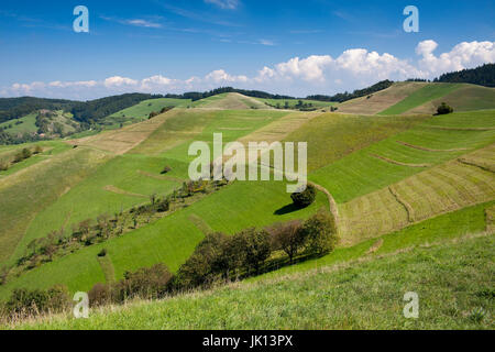 Bad Berg in den kaiserlichen Stuhl, Baden-Wurttemberg, Badberg bin Kaiserstuhl, Baden-Württemberg Stockfoto