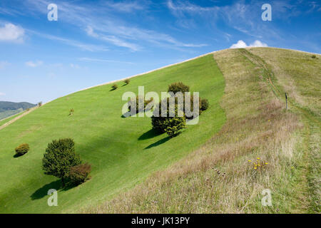 Bad Berg in den kaiserlichen Stuhl, Baden-Wurttemberg, Badberg bin Kaiserstuhl, Baden-Württemberg Stockfoto